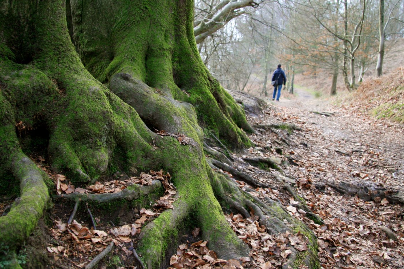 ČARI PLANINARENJA U JESEN - ČEKAMO VAS!