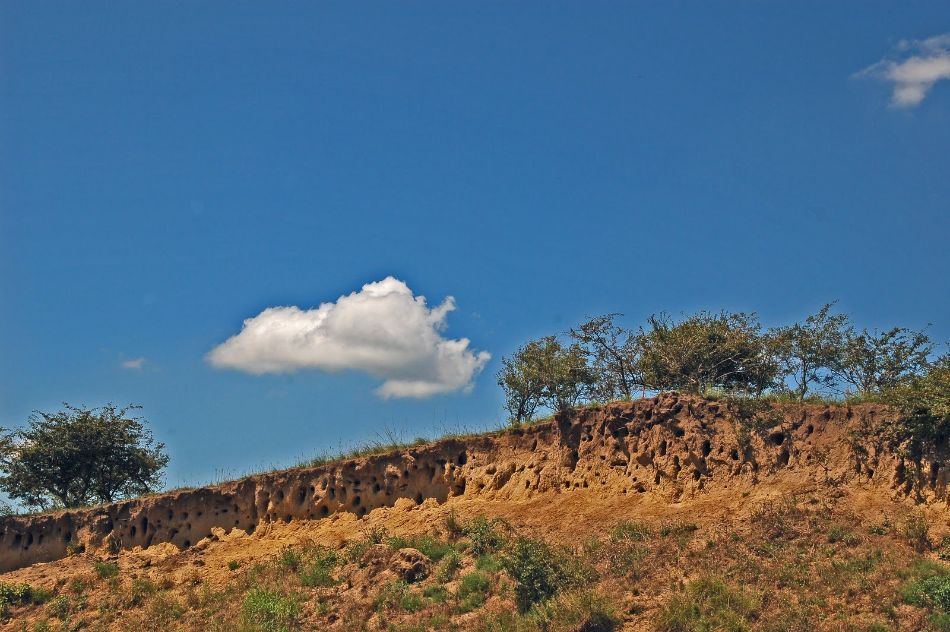 Deliblatska peščara - najveća u Evropi