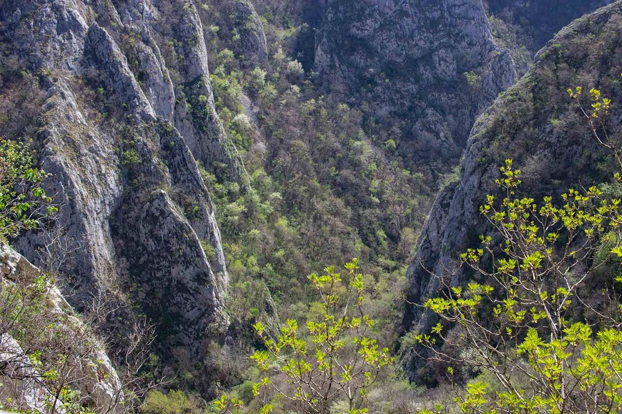 Kako doći do Lazareve brade?