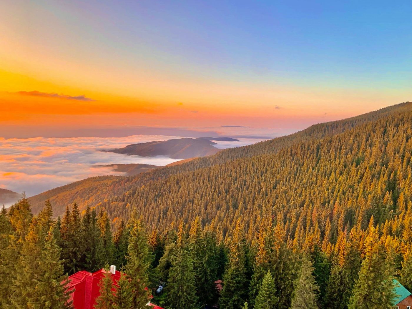 KARPATI - DIVLJINA I VELIKA NADMORSKA VISINA NA SAMO 270km OD BEOGRADA