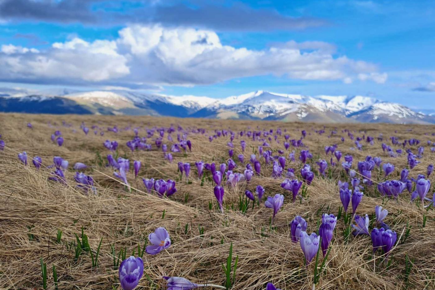 ŠTA NAS OČEKUJE U PERIODU 23-25.6