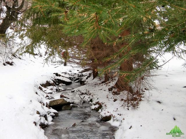 Stara planina - dom i sloboda