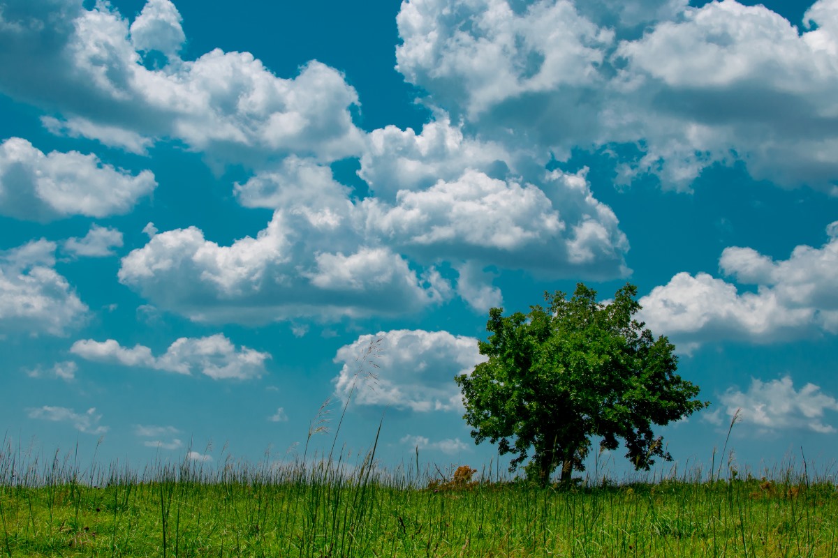 Ture za vikend 19/20. jun 2021.