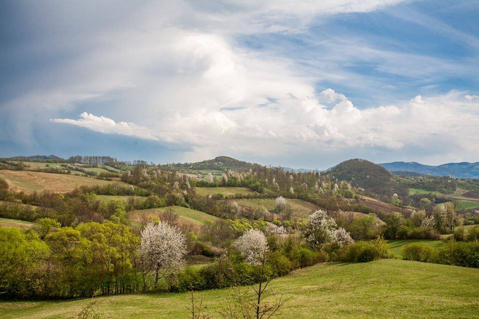 Ture za vikend 22/23. maj 2021.