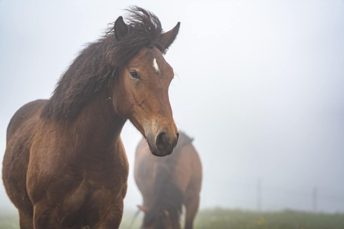 Ture poslednji vikend maja 24.05-26.05.