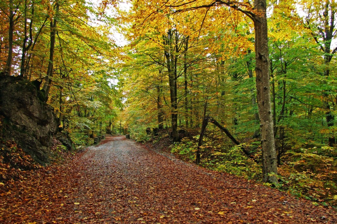 Vodimo vas na Vršački breg - šetnja i vino!