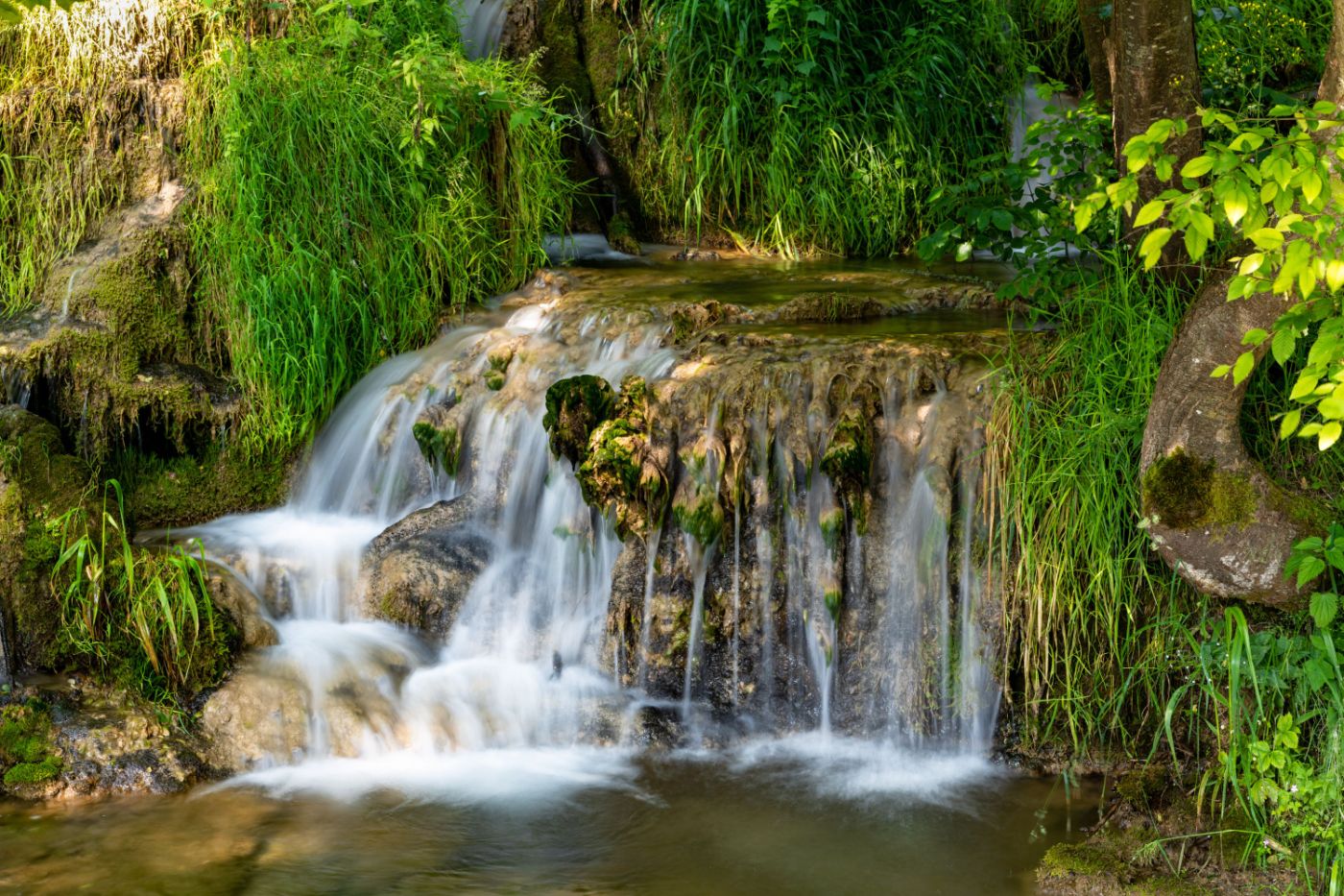  TAORSKA VRELA  - 22.3.