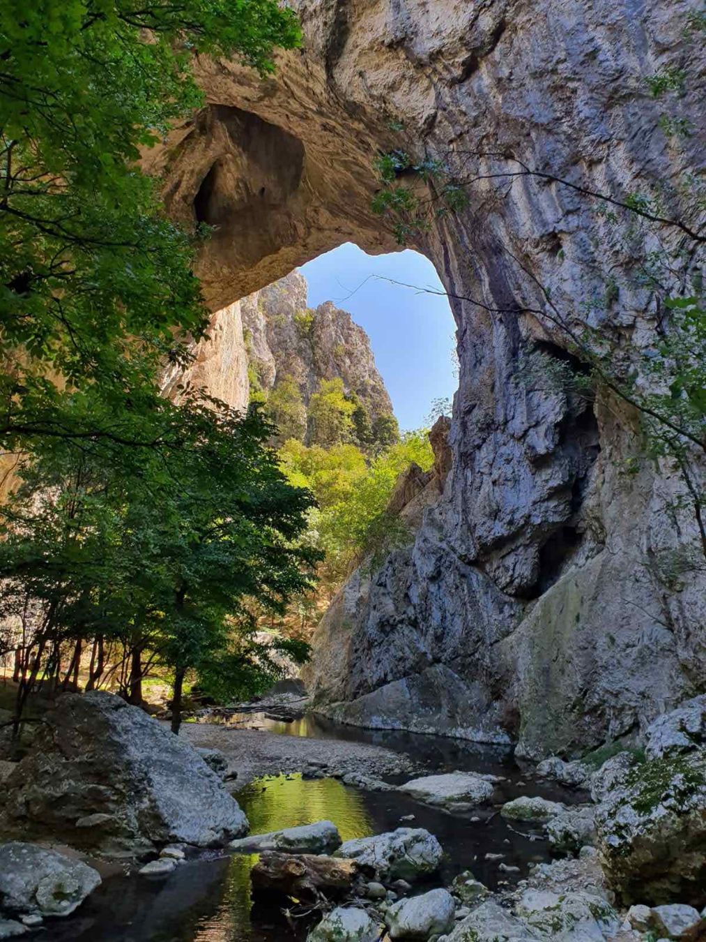 PRERASTI VRATNE -  pešačka tura | 9.5.