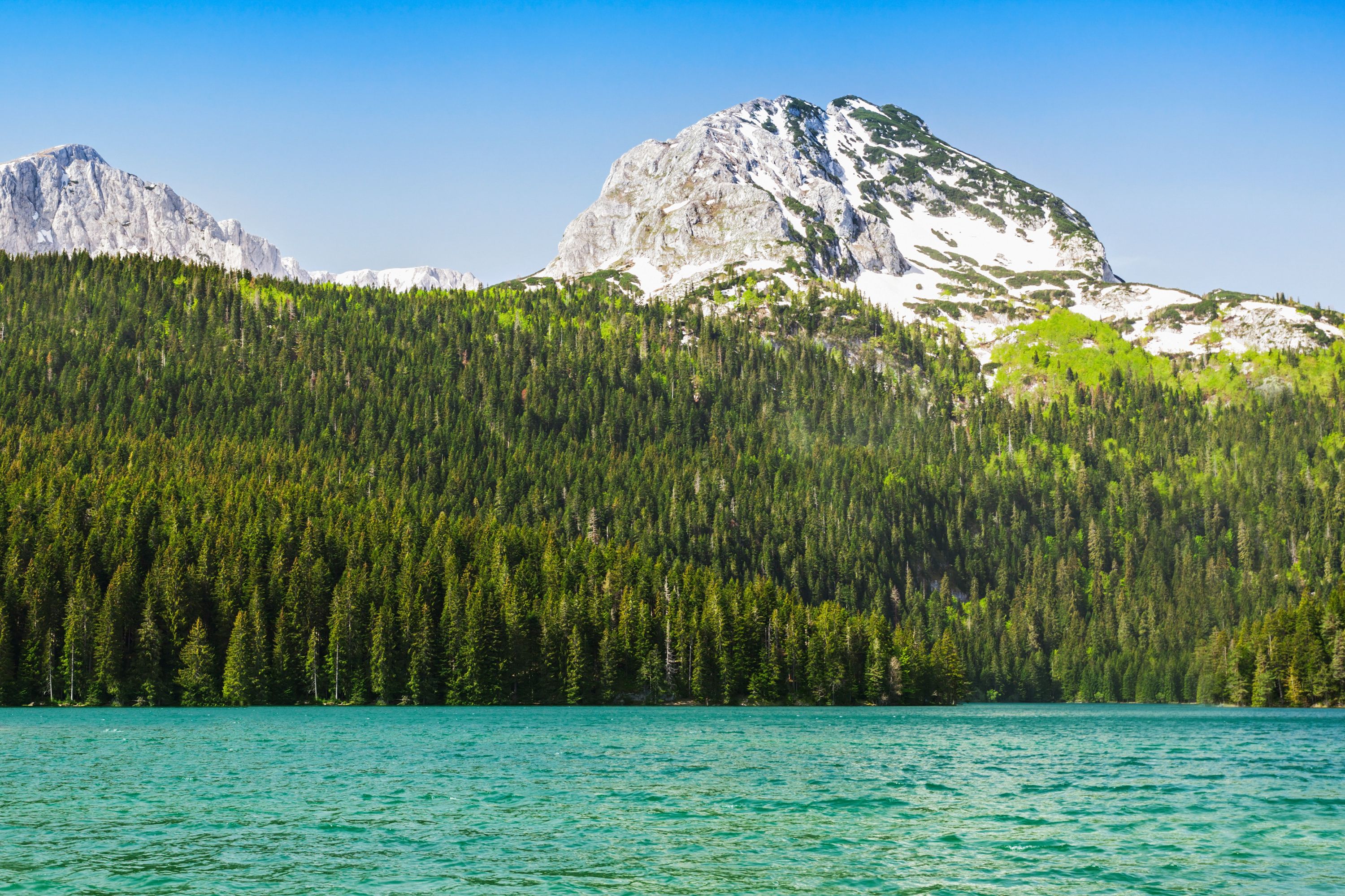 medjed-savin-kuk-durmitor