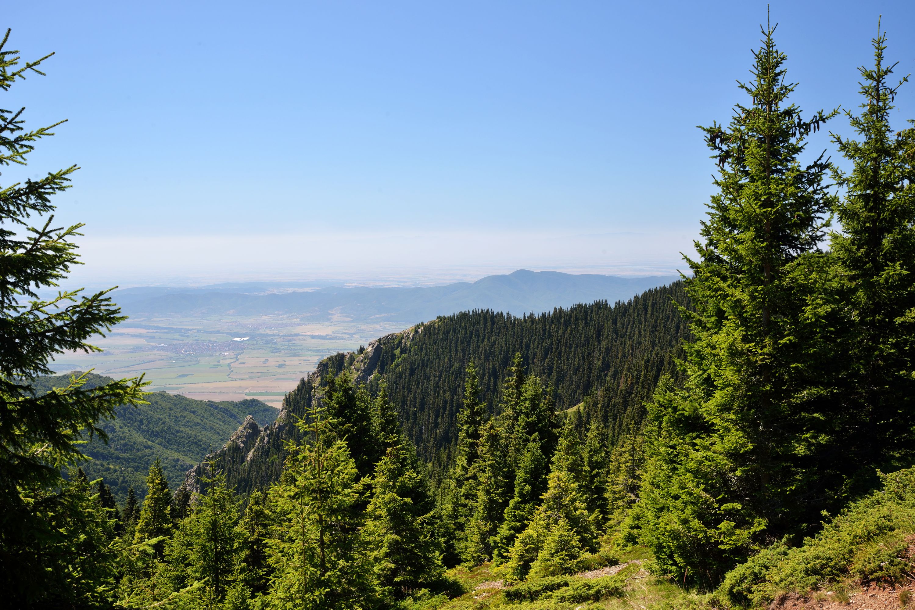 stara-planina-lepota
