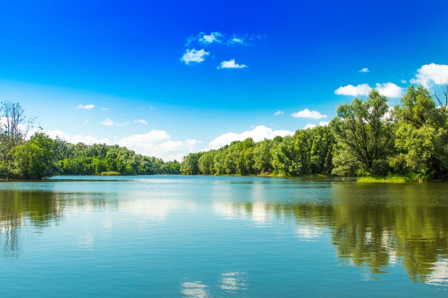 gornje-podunavlje-tri